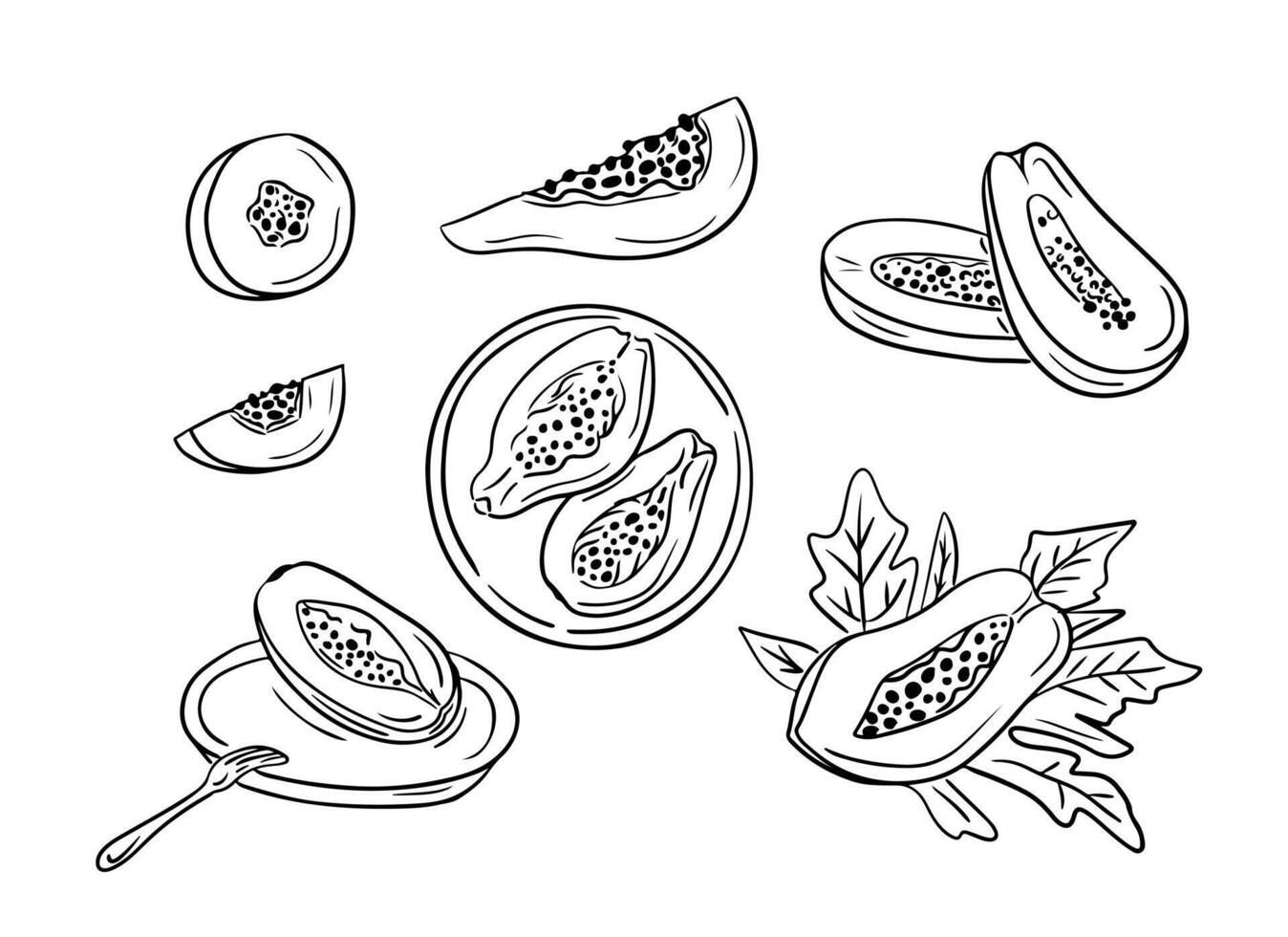 Hand gezeichnet Gekritzel Gliederung einstellen mit Papaya Früchte. skizzenhaft schwarz Kontur ganze und Teil von Früchte auf Weiß Hintergrund. Ideal zum Färbung Seiten, Tätowierung, Muster vektor