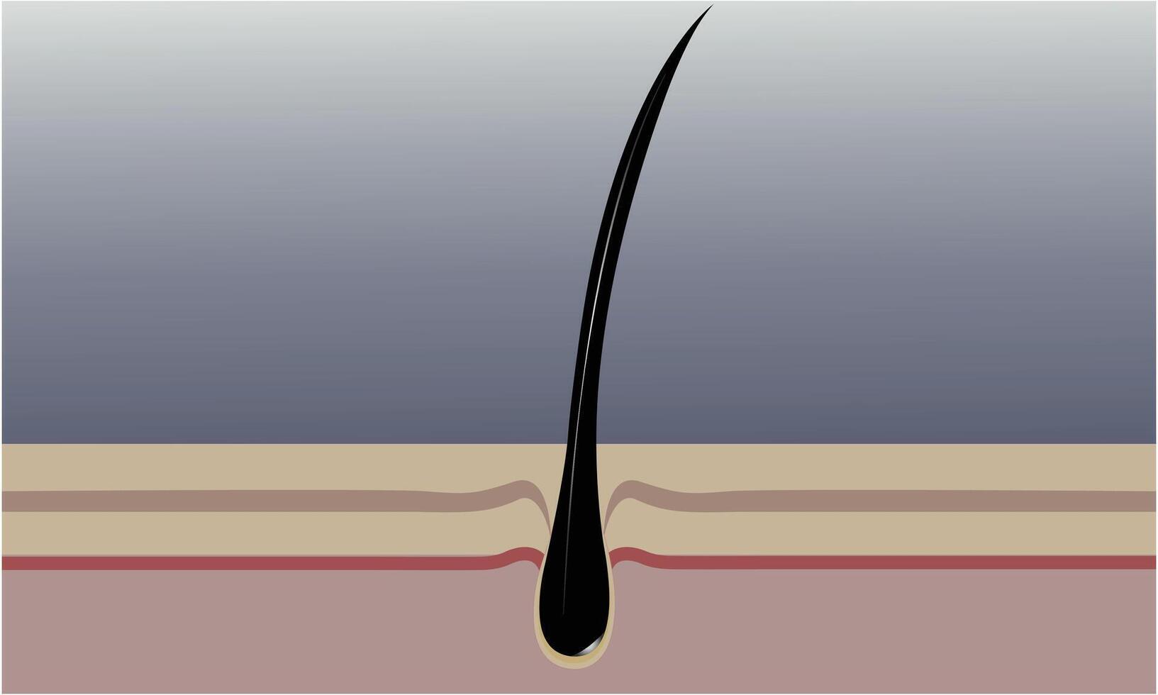 mänsklig hår 100 vektor illustration design.