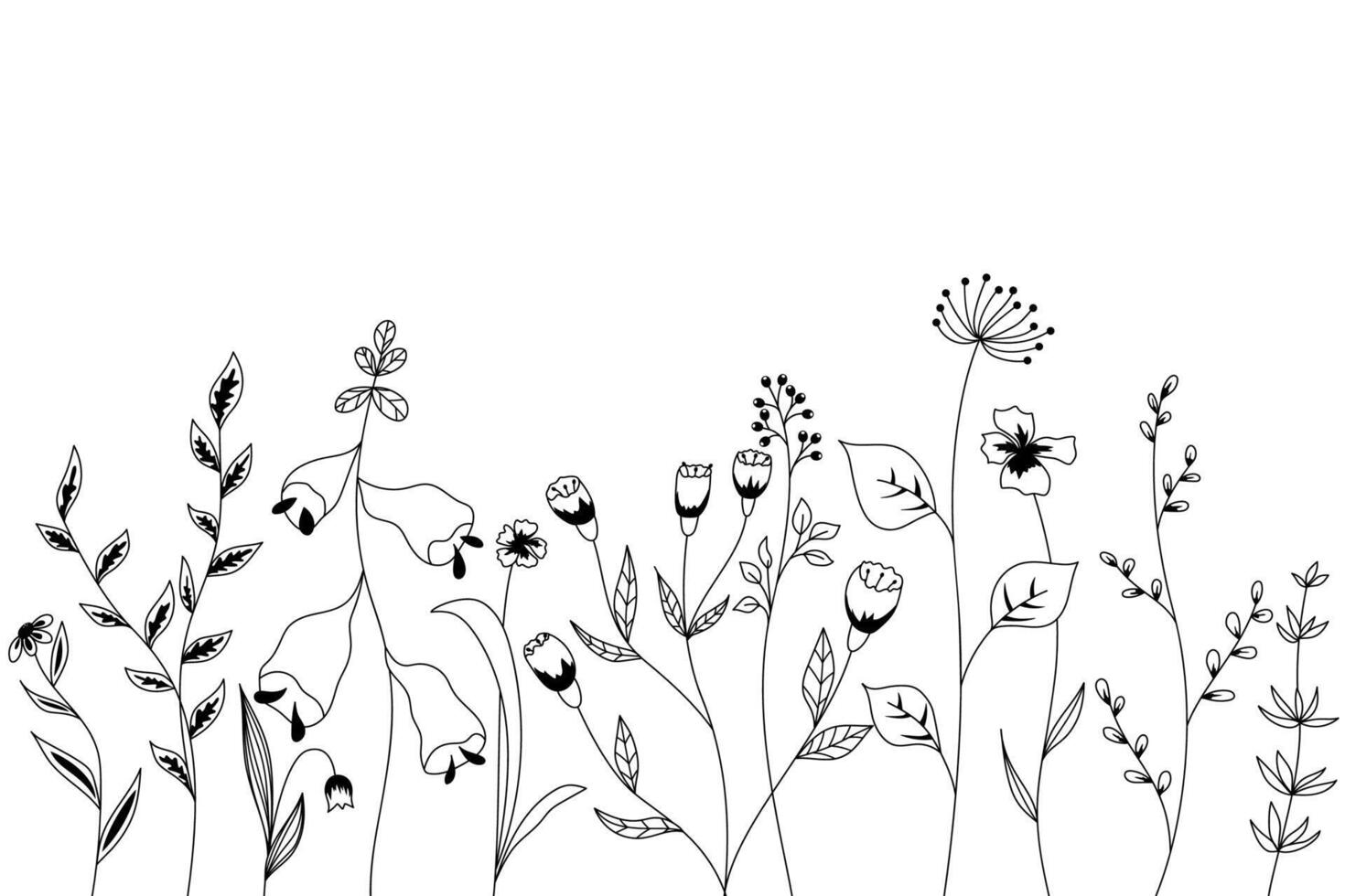 Natur Vektor Hintergrund mit handgemalt wild Gräser, Blumen und Blätter auf Weiß. Blumen- Illustration im das Gekritzel Stil.
