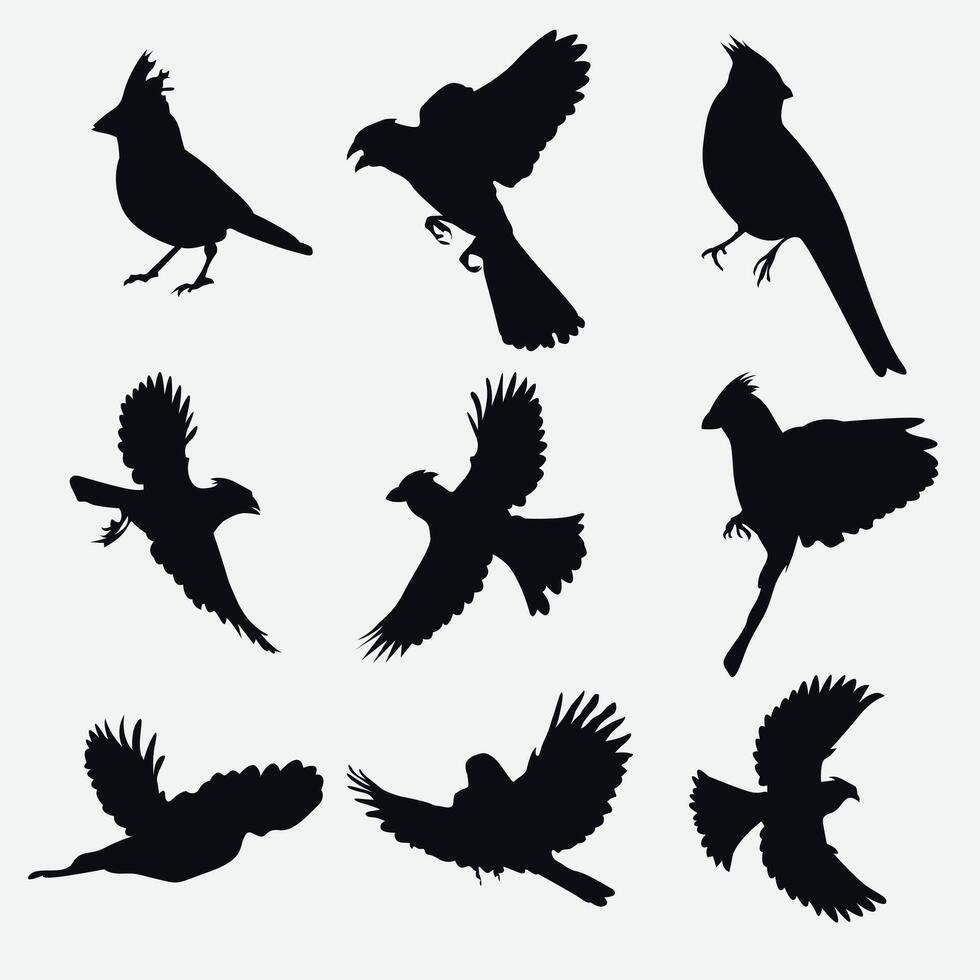 fåglar vektor uppsättning design.