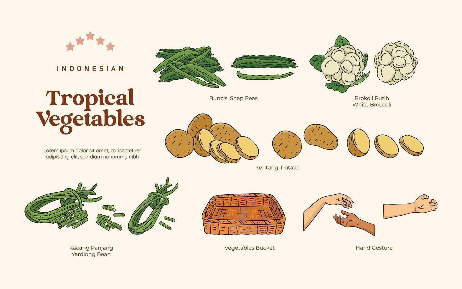 isolerat tropisk grönsaker illustration, indonesiska botanisk förbrukad växter element vektor
