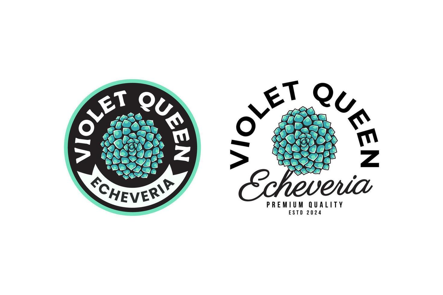 Echeveria von violett Königin Sukkulenten Logo Design zum Pflanze Geschäft und Liebhaber Geschäft vektor