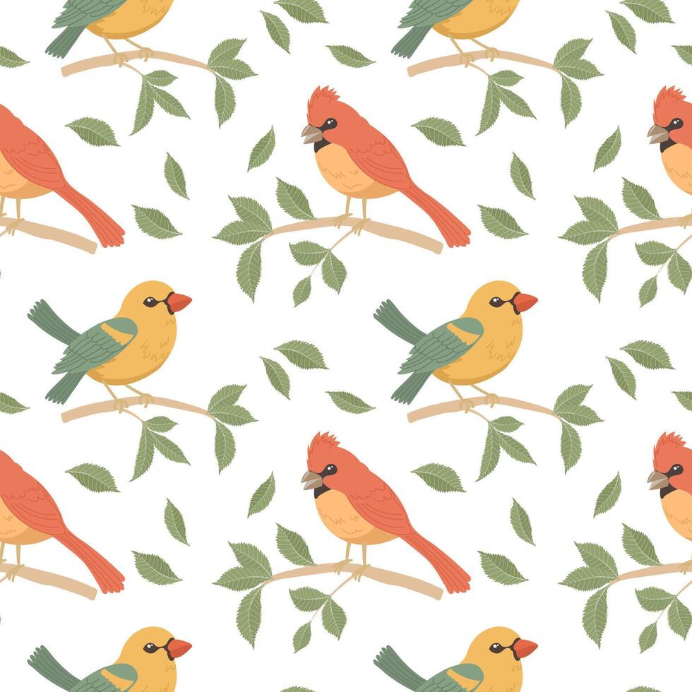 nahtlos Muster, süß hell Vögel auf Baum Geäst auf ein Weiß Hintergrund. Frühling Illustration im eben Karikatur Stil. Vektor