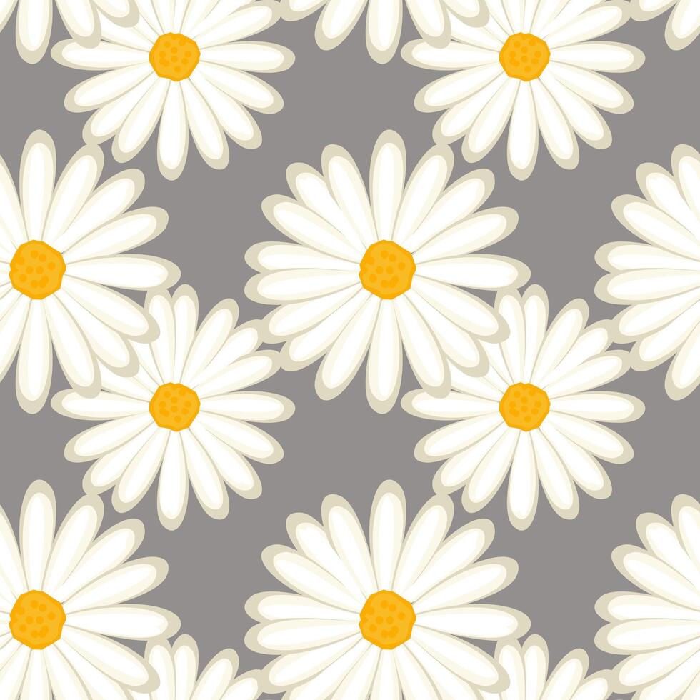 sömlös mönster, vit daisy på en grå bakgrund, bakgrund, skriva ut, textil, tapet, vektor