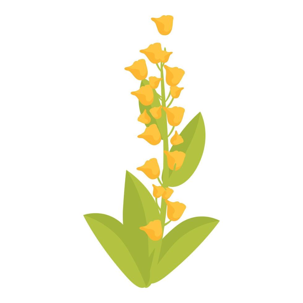 myanmar blomma växt ikon tecknad serie vektor. festival dag vektor