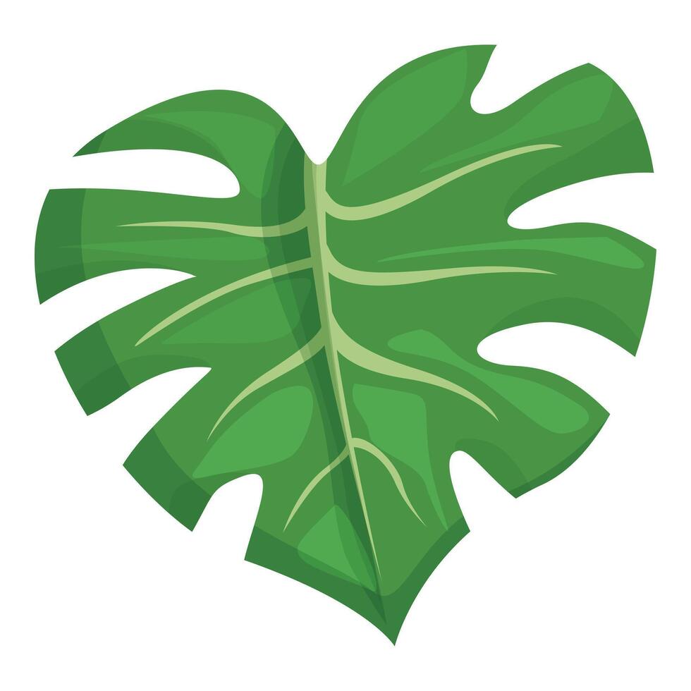 Urwald Monstera Symbol Karikatur Vektor. Pflanze Grün vektor