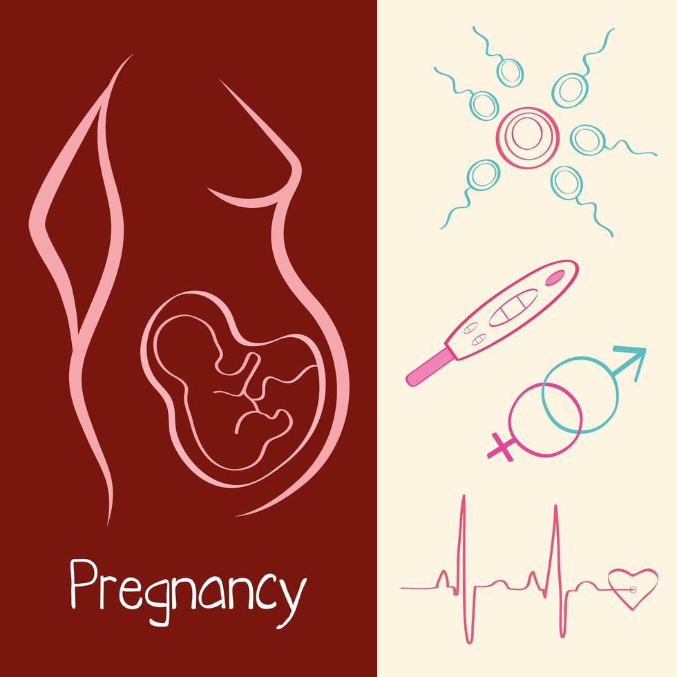 graviditet fem ikoner vektor