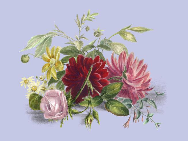 Färgglatt stilleben av blommor (1850), ett arrangemang av vackra blommor. Digitalt förbättrad av rawpixel. vektor