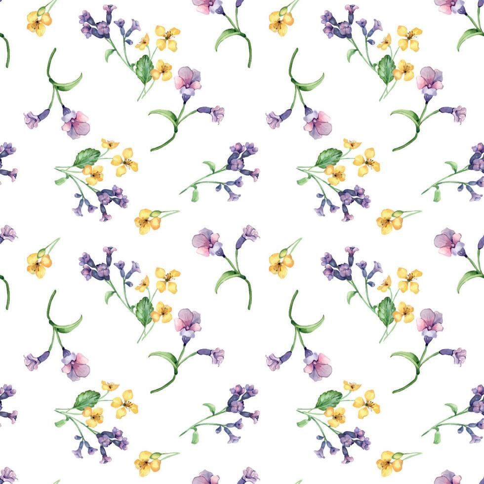 medicinsk växter vattenfärg sömlös mönster isolerat på vit bakgrund. pulmonaria officinalis lila blomma hand ritade. målad celandine ört växt. design för märka, paket, textil, omslag vektor