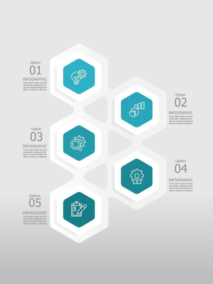 Vertikale runden Hexagon Schritte Zeitleiste Infografik Element Bericht Hintergrund mit Geschäft Linie Symbol 5 Schritte vektor