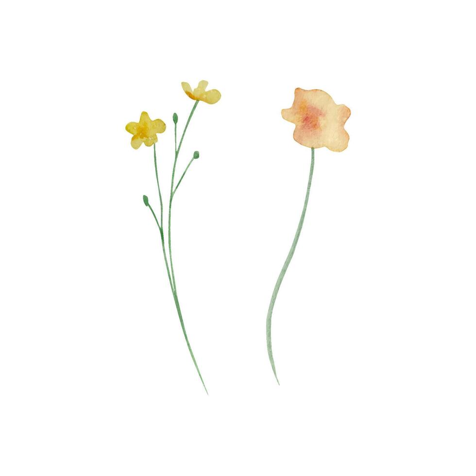 vattenfärg vildblommor, delikat botanisk illustration för design kort och inbjudningar vektor