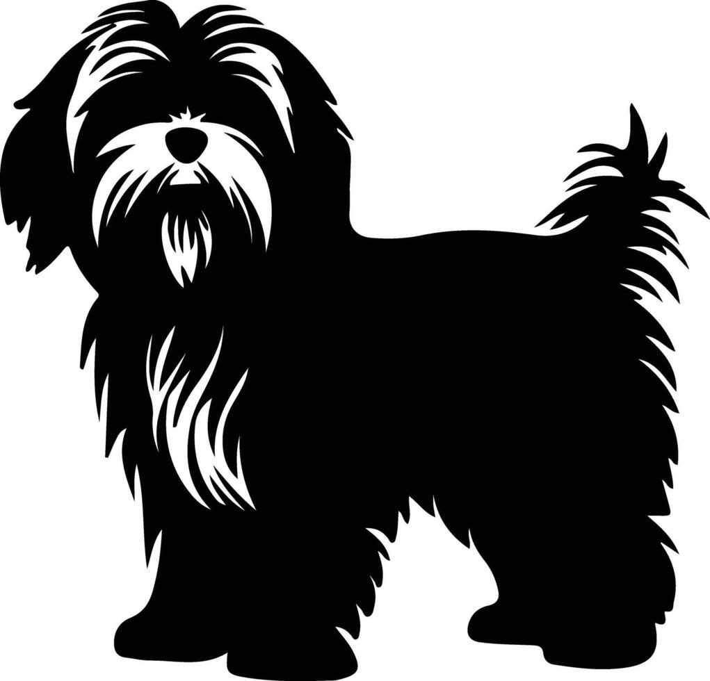 havanese svart silhuett vektor