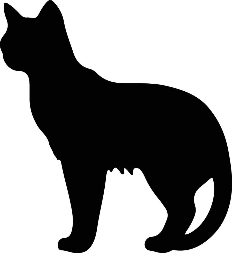 Burmilla Katze schwarz Silhouette vektor