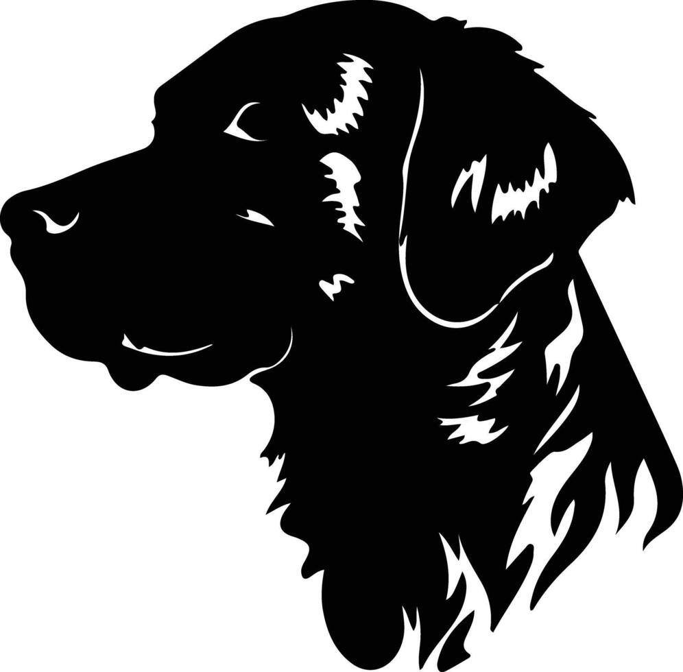 lockig beschichtet Retriever Silhouette Porträt vektor