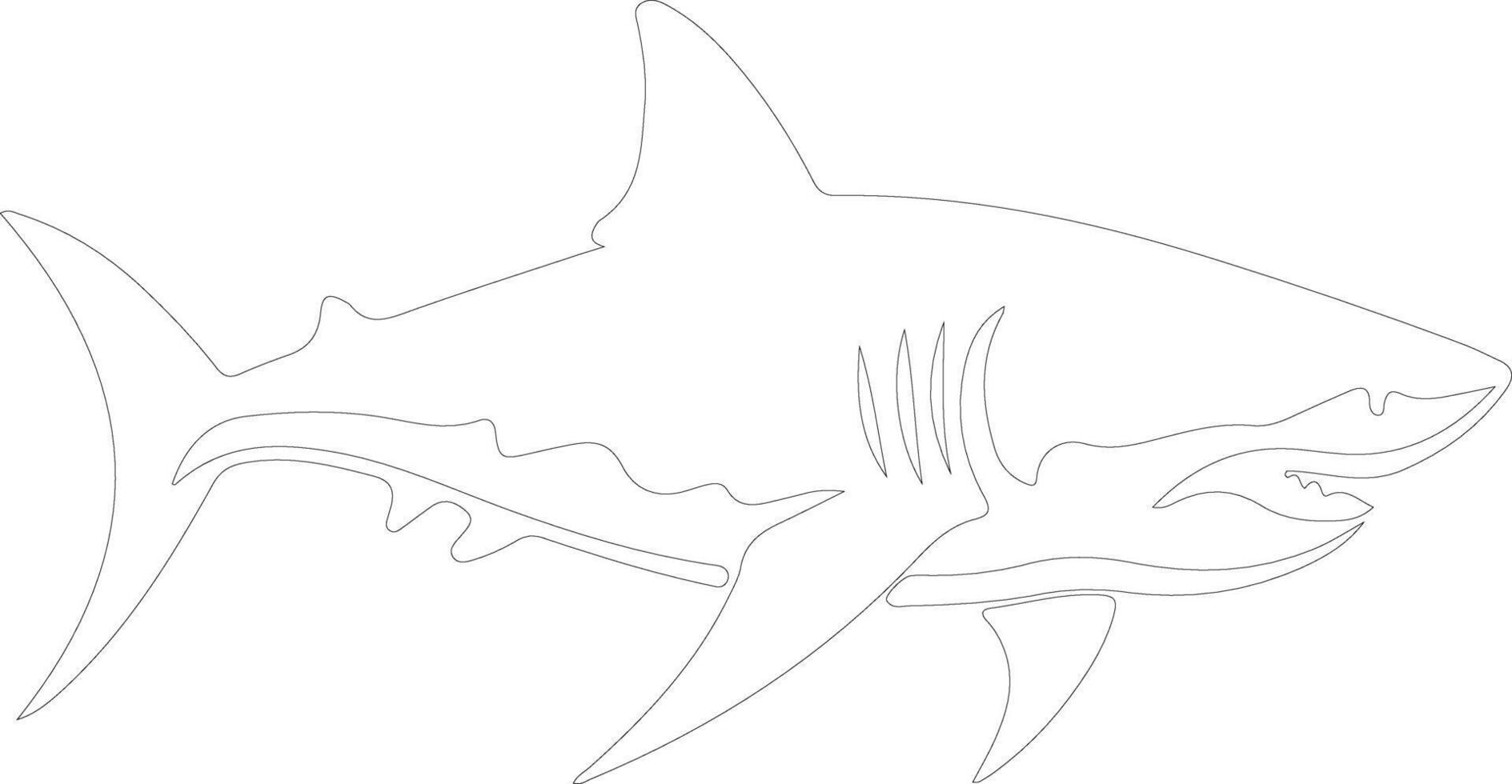 tiger haj översikt silhuett vektor