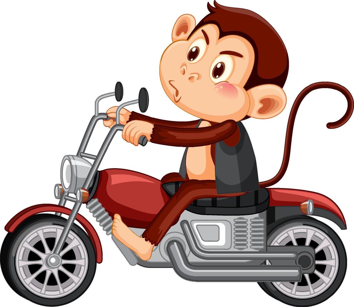 Affe fährt Motorrad-Cartoon-Figur vektor