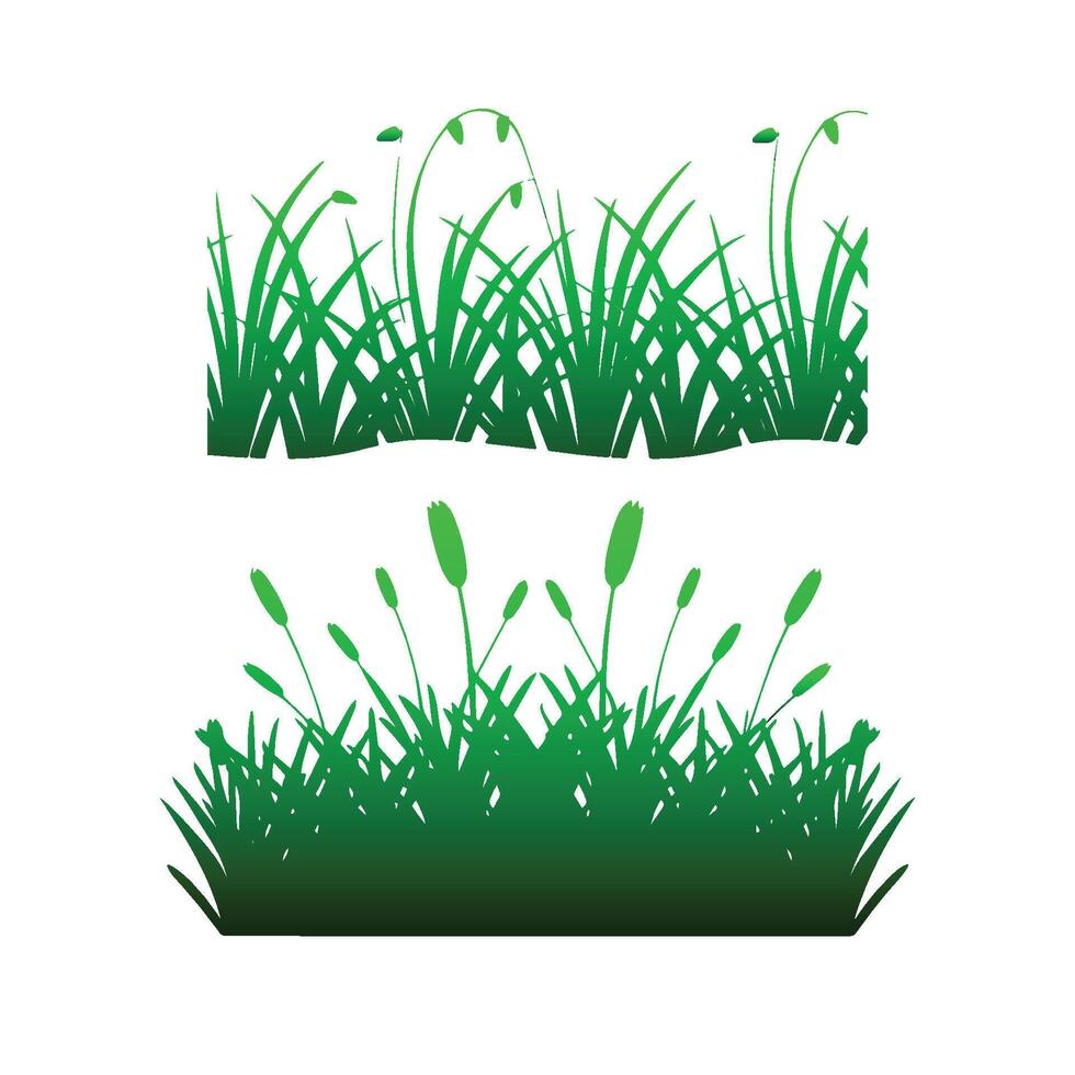 grönt gräs isolerad på vit bakgrund vektor
