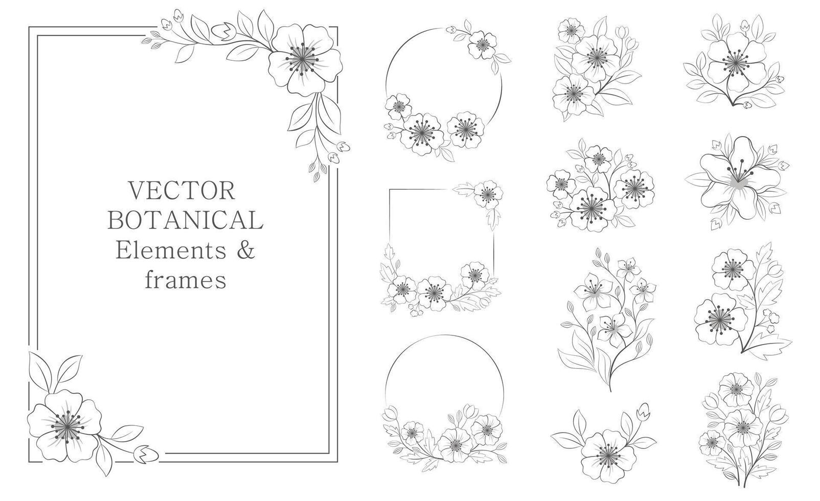 Vektor einstellen von botanisch Elemente und Frames im runden, Quadrat. schwarz Abbildungen zum Banner