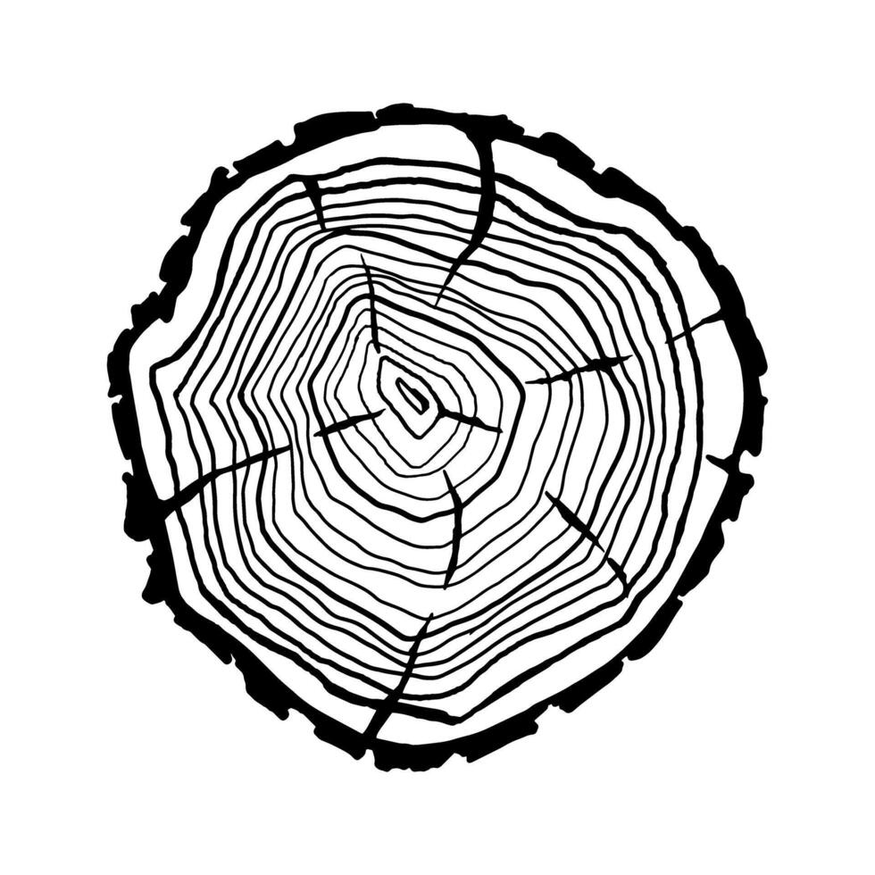 Holz Scheibe Symbol Vektor. Holz Ringe Illustration unterzeichnen. Baum Symbol. Sägewerk Logo. vektor