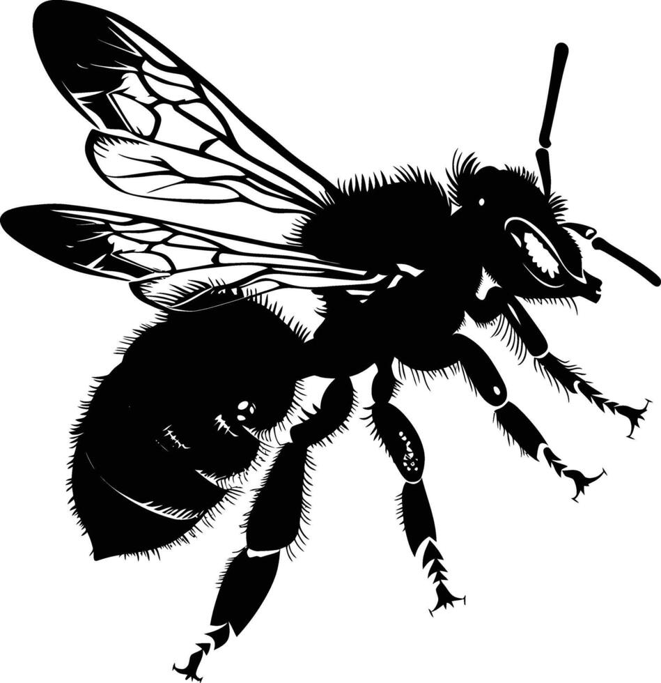 ai generiert Silhouette Biene Tier schwarz Farbe nur voll Körper vektor