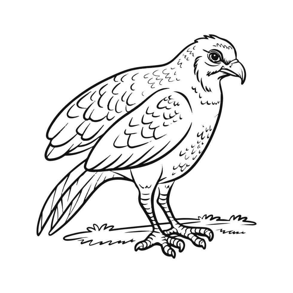 fågel vektor illustration