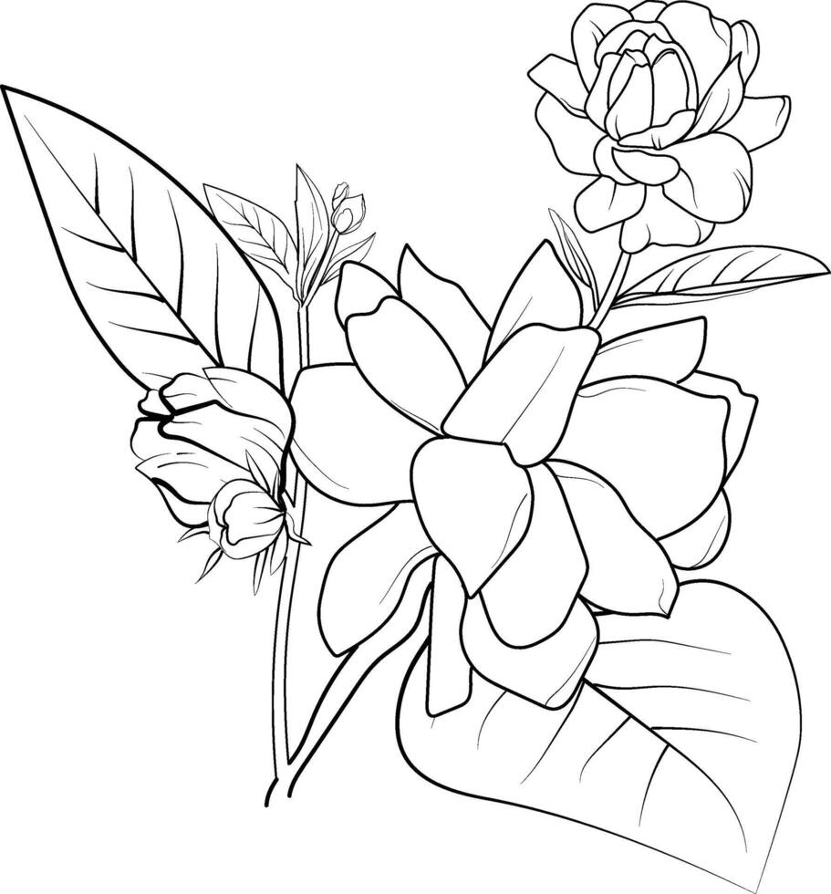 söt blomma färg sidor, jasmin teckning, hand dragen botanisk vår element bukett av jasmin blomma linje konst färg sida, lätt blomma teckning, unik floewr färg sidor vektor