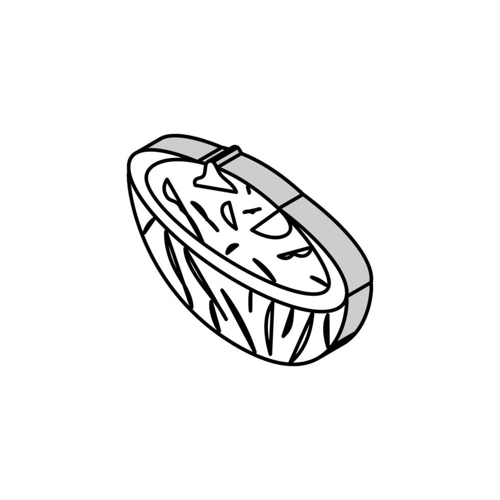 Tzatziki Soße griechisch Küche isometrisch Symbol Vektor Illustration