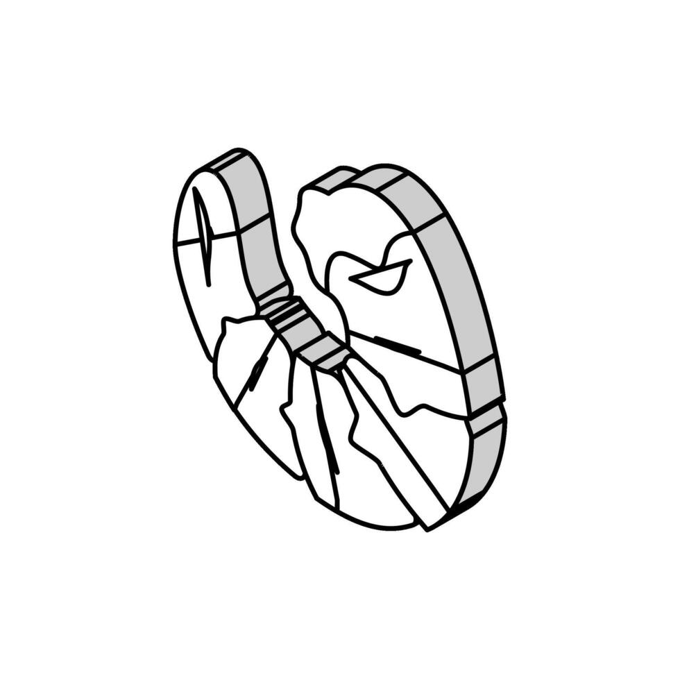 räka skaldjur isometrisk ikon vektor illustration