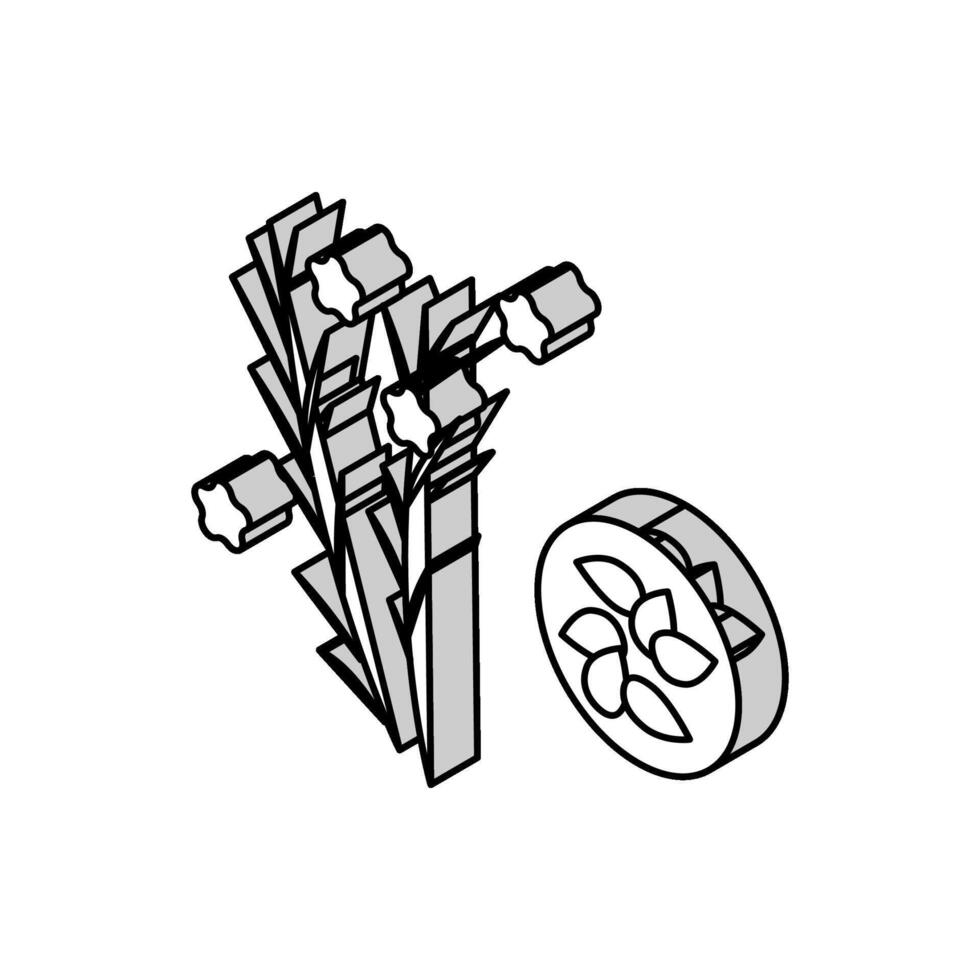 Flachs Grütze isometrisch Symbol Vektor Illustration