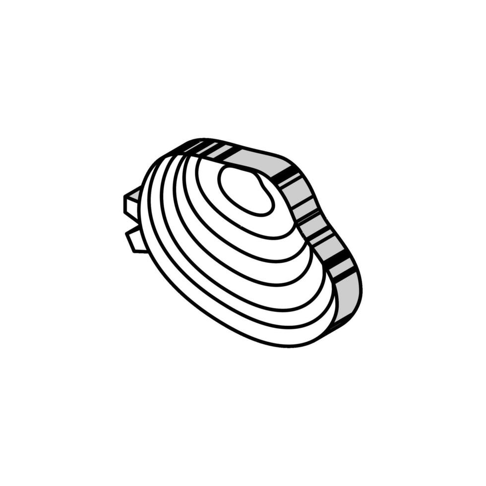 Manila Muschel isometrisch Symbol Vektor Illustration