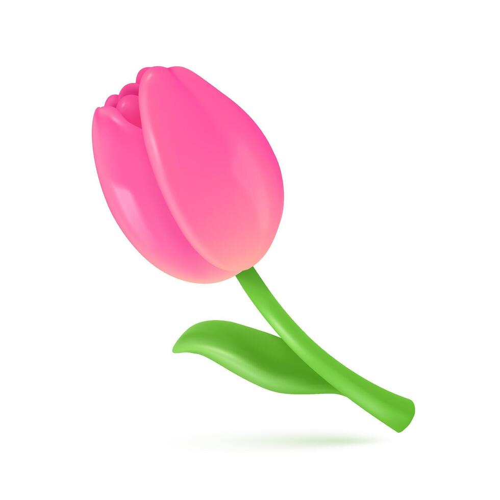 3d tulpaner. skön blommor given till uttrycka grattis. ger särskild gåvor för kvinnor. 3d vektor illustration.
