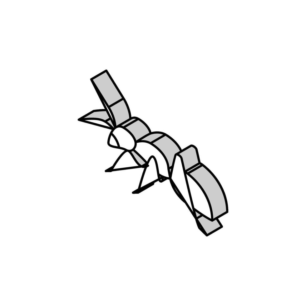 Ameise Insekt isometrisch Symbol Vektor Illustration