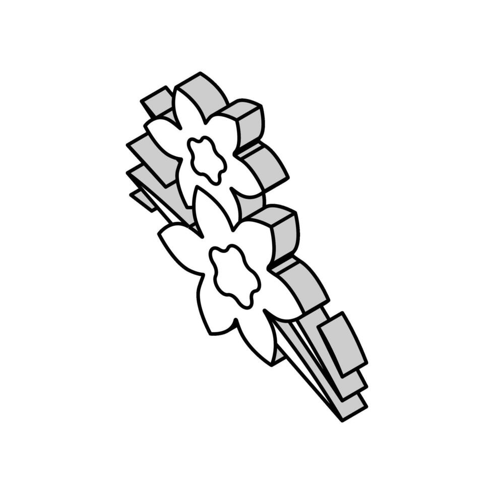 Vanille Aromatherapie isometrisch Symbol Vektor Illustration