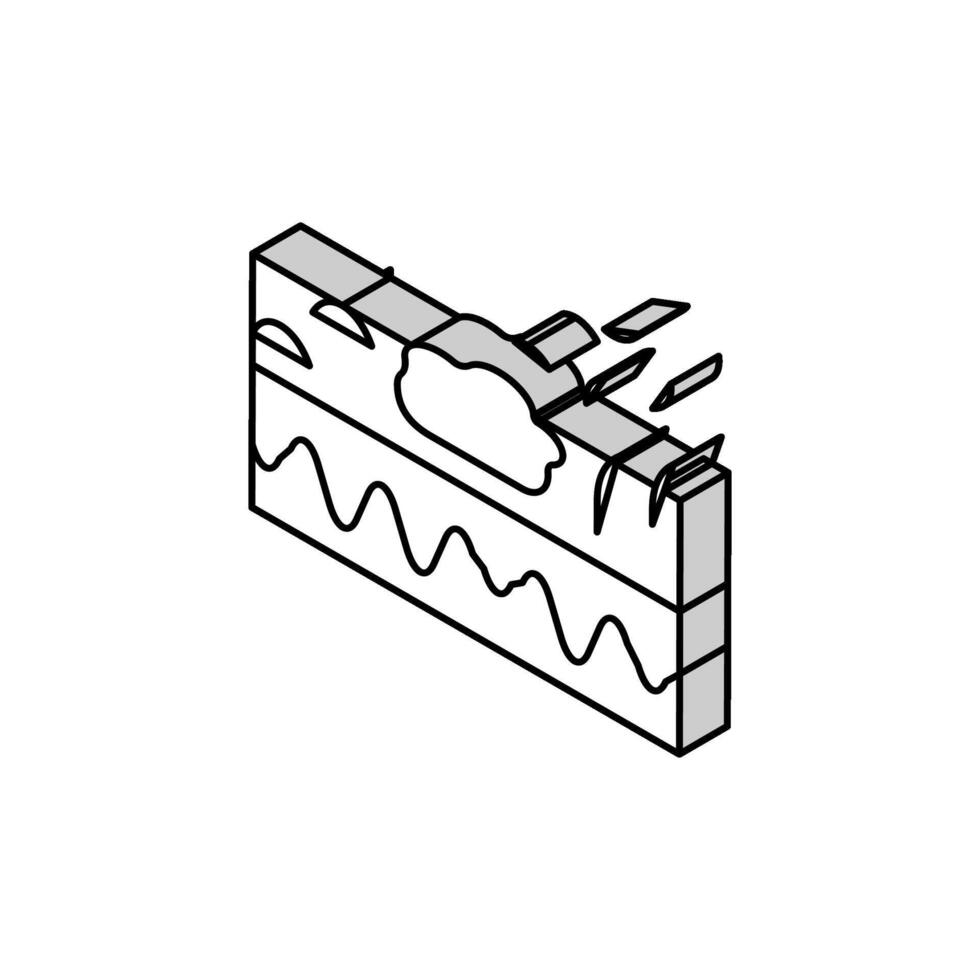 Haut Haar Problem isometrisch Symbol Vektor Illustration