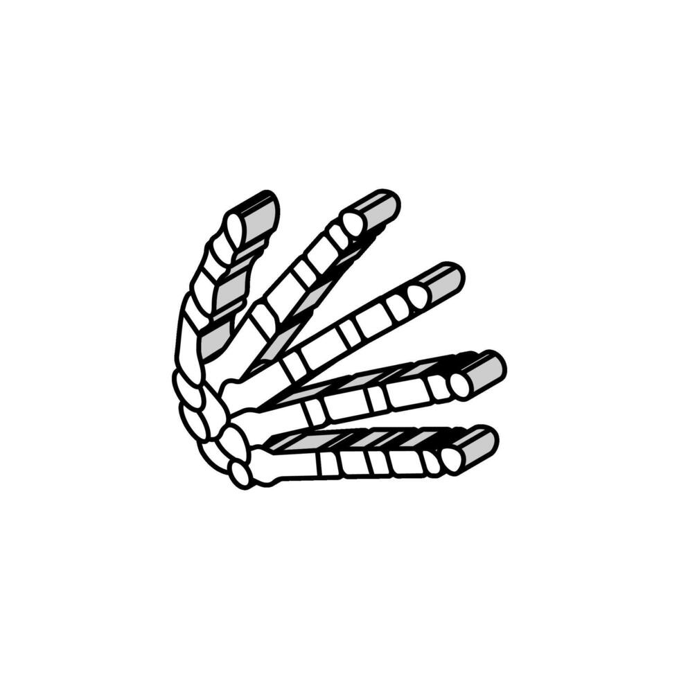 Handgelenk Knochen isometrisch Symbol Vektor Illustration
