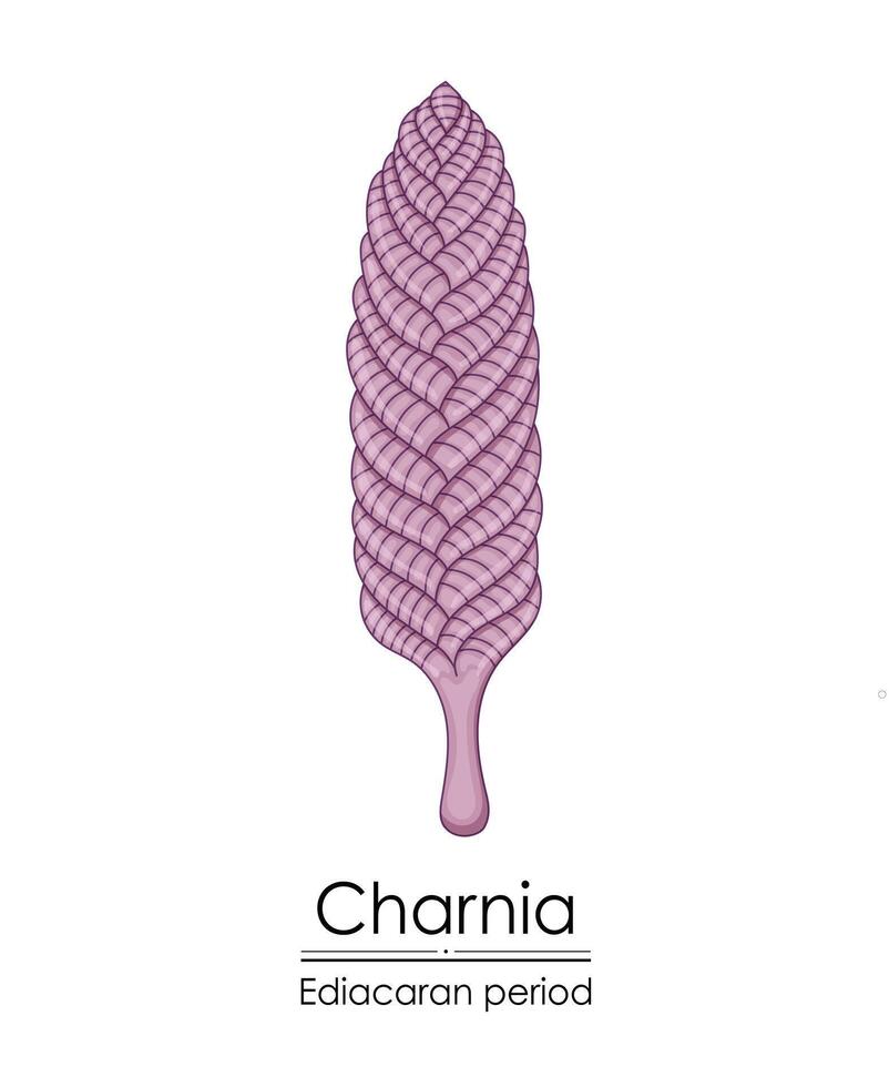 charnia, ett ediacaran period varelse färgrik illustration vektor
