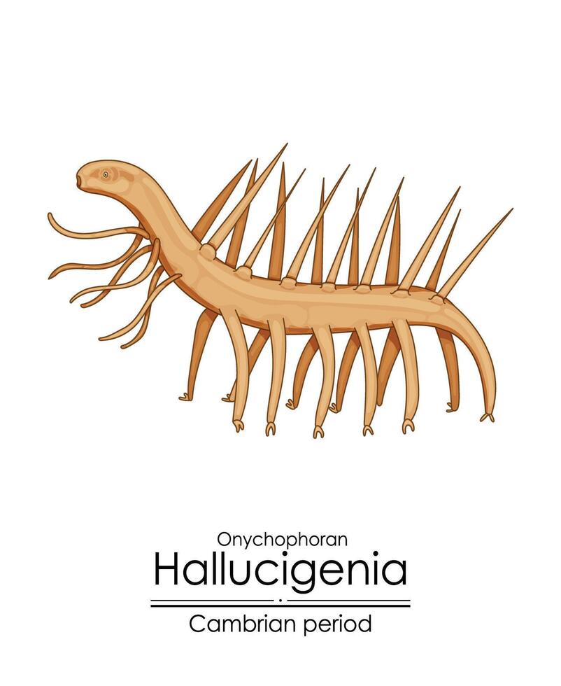 hallucigeni, en cambrian period varelse. vektor