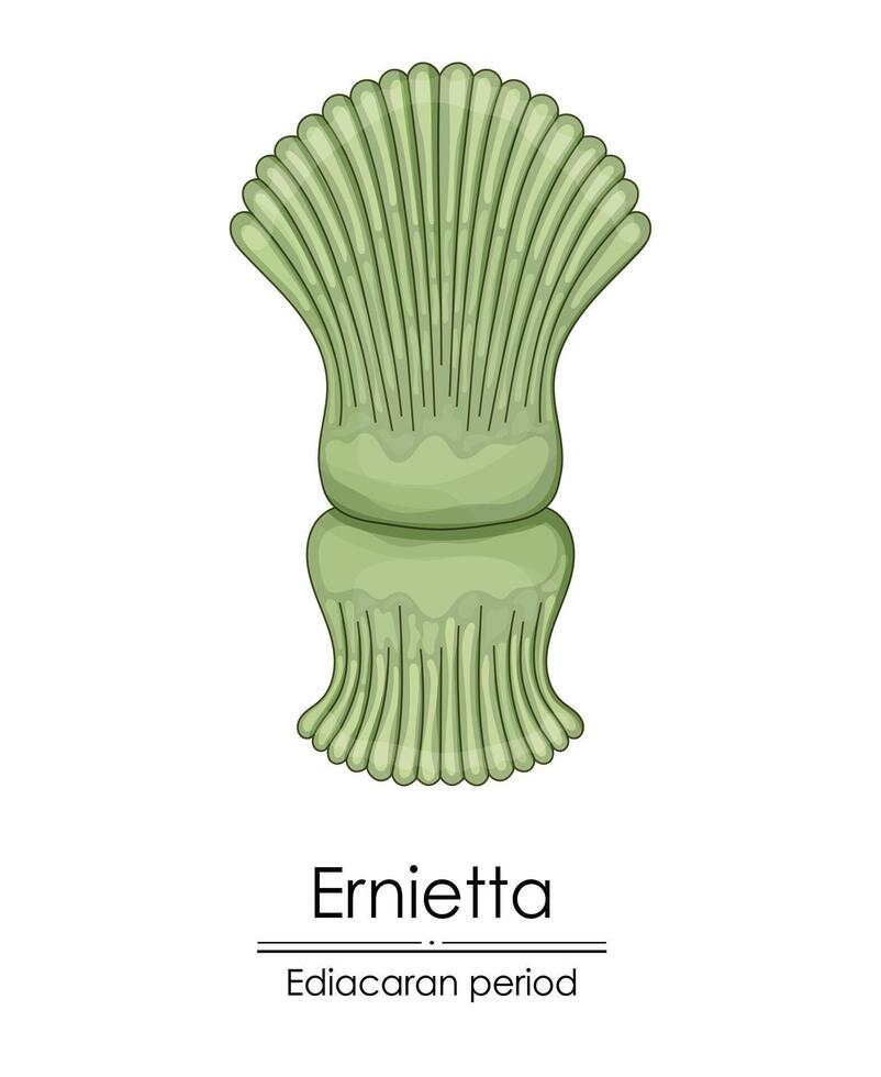 ernietta, ett ediacaran period varelse vektor