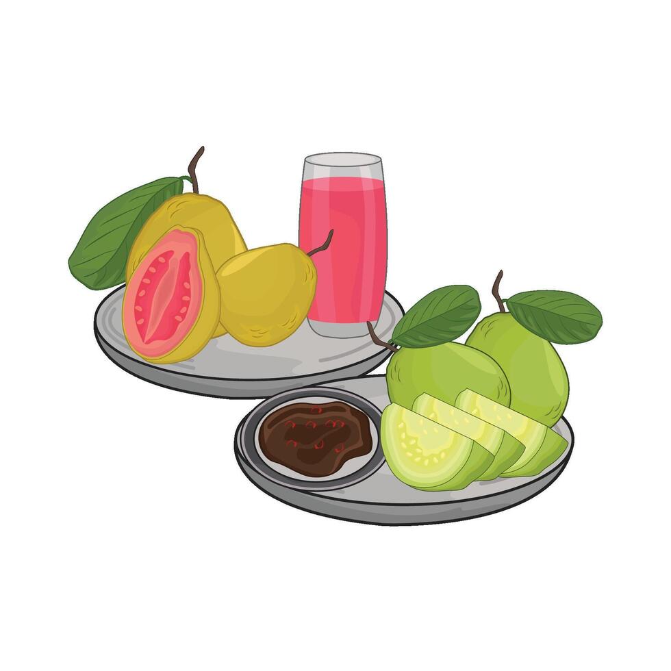 illustration av guava vektor