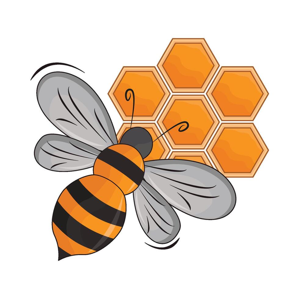 illustration av honung bi vektor