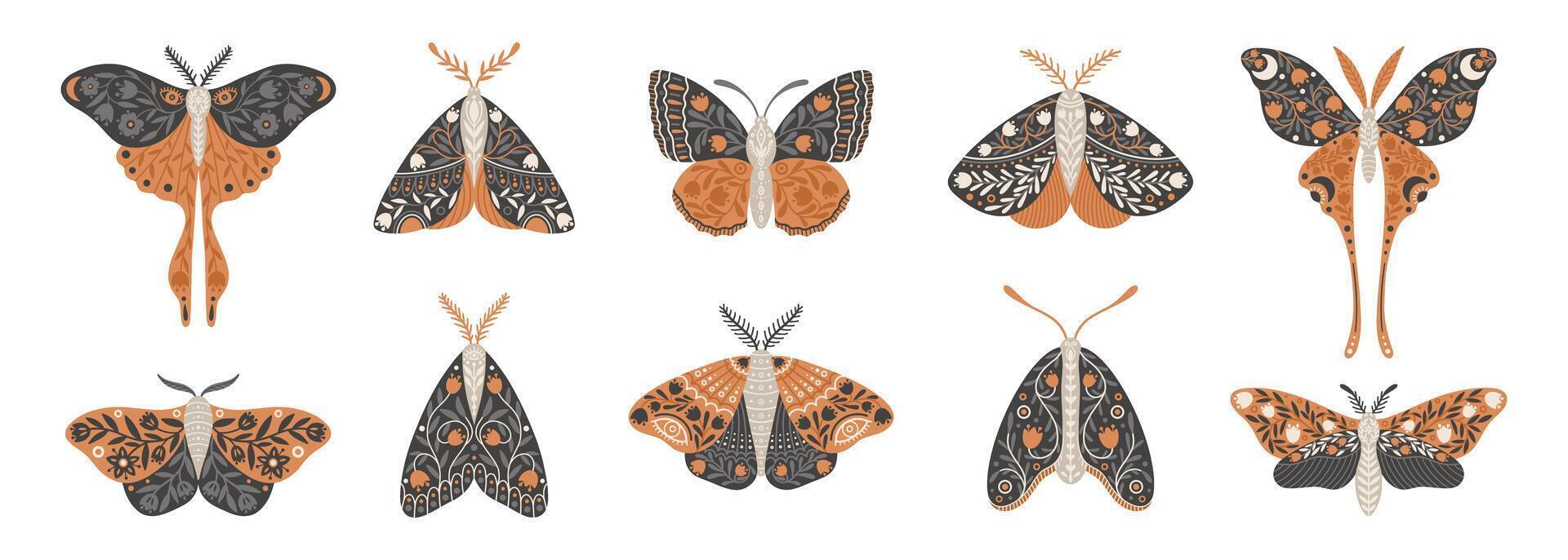 Schmetterling Symbole mit Blumen- Ornament. einstellen von Jahrgang mystisch Schmetterlinge oder Motten. Vektor Illustration von himmlisch Insekten