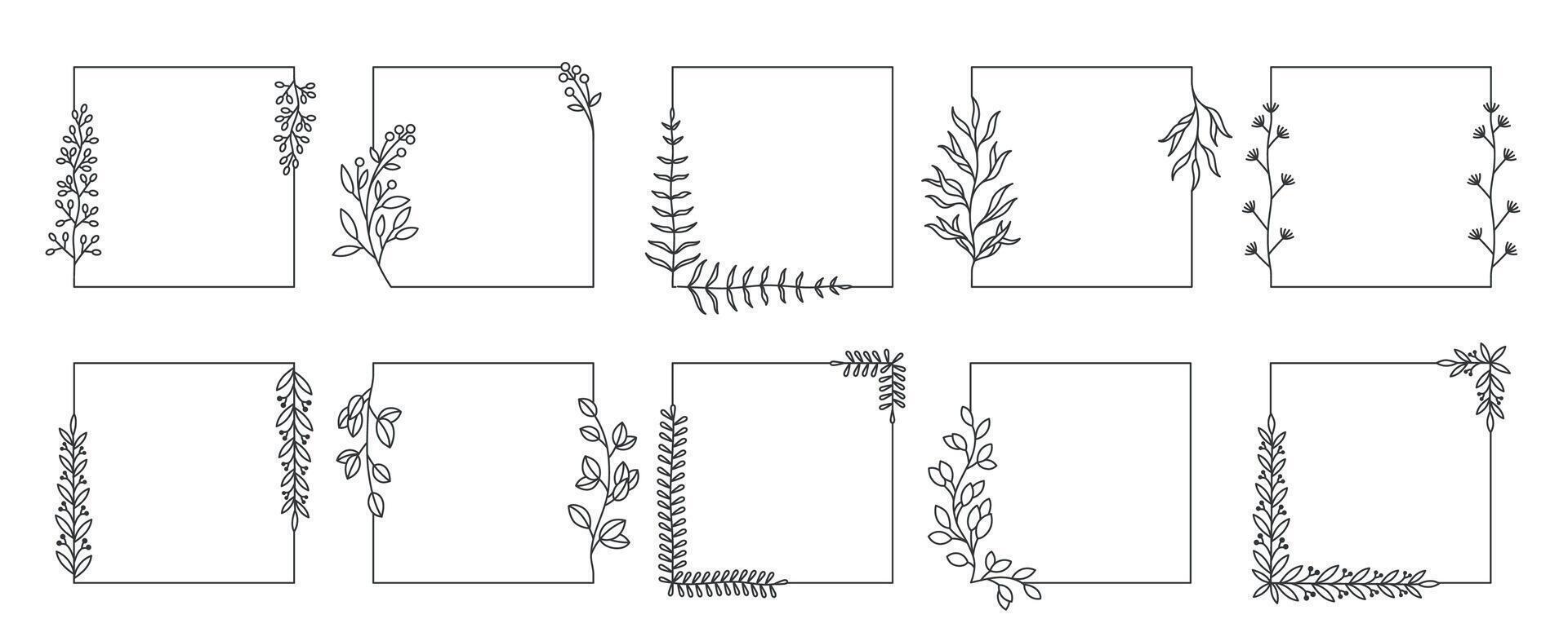 fyrkant botanisk ramar. linje klotter ört- gränser och blommig inramning dekorativ element för inbjudan och hälsning kort. vektor vild bröllop uppsättning