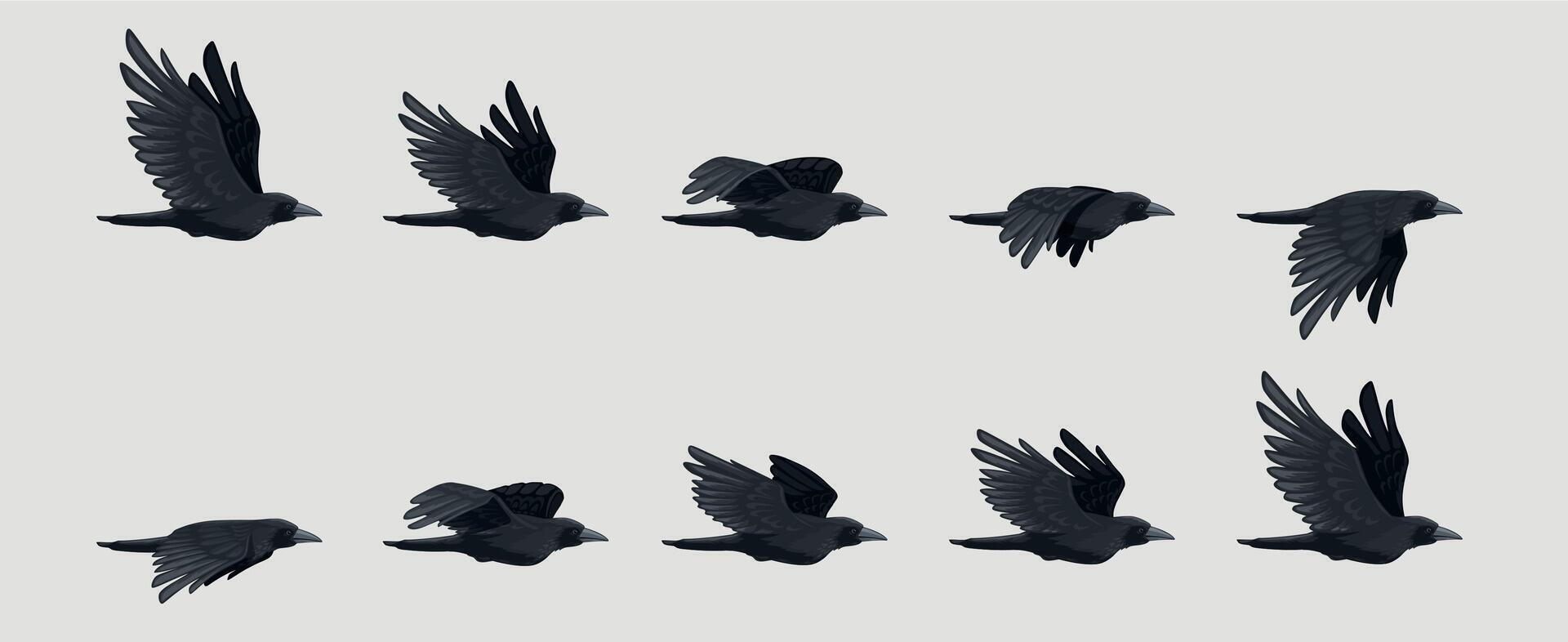 Krähe fliegen Reihenfolge. schwarz fliegend Rabe Silhouette, schwarz Vogel Flügel Bewegung zum Animation Rahmen Sequenzen 2d Spielen Anlage. Vektor isoliert einstellen