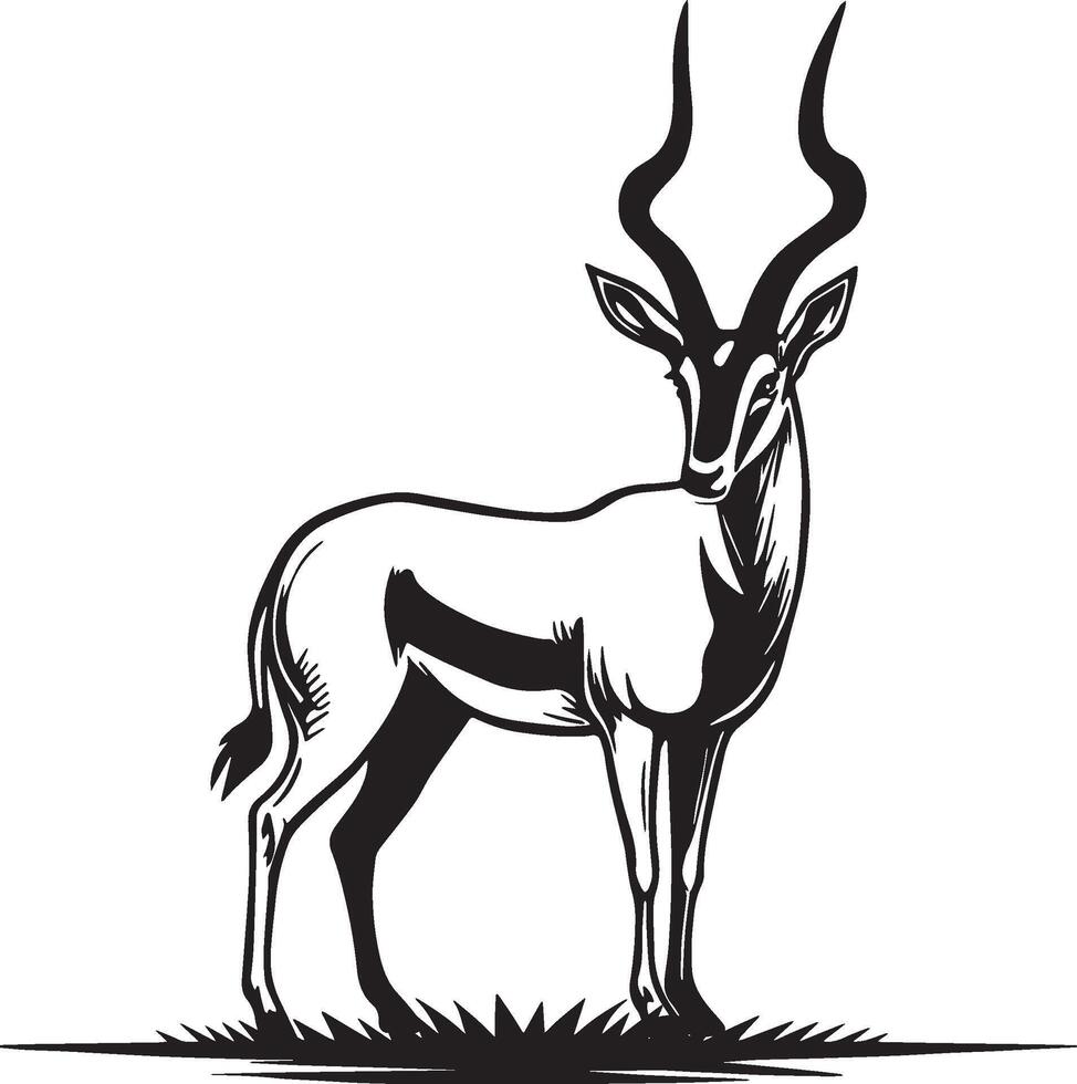 Antilope Skizzierung Zeichnung. vektor