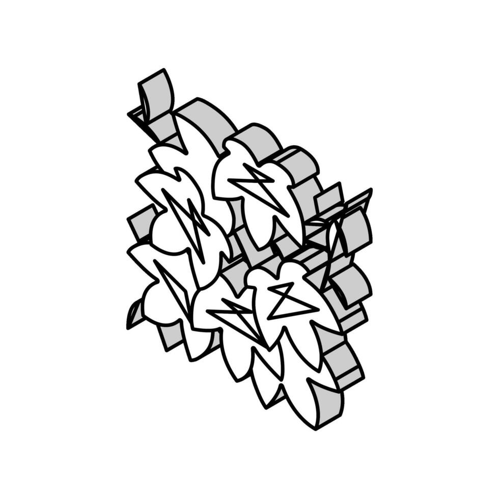 boston murgröna isometrisk ikon vektor illustration