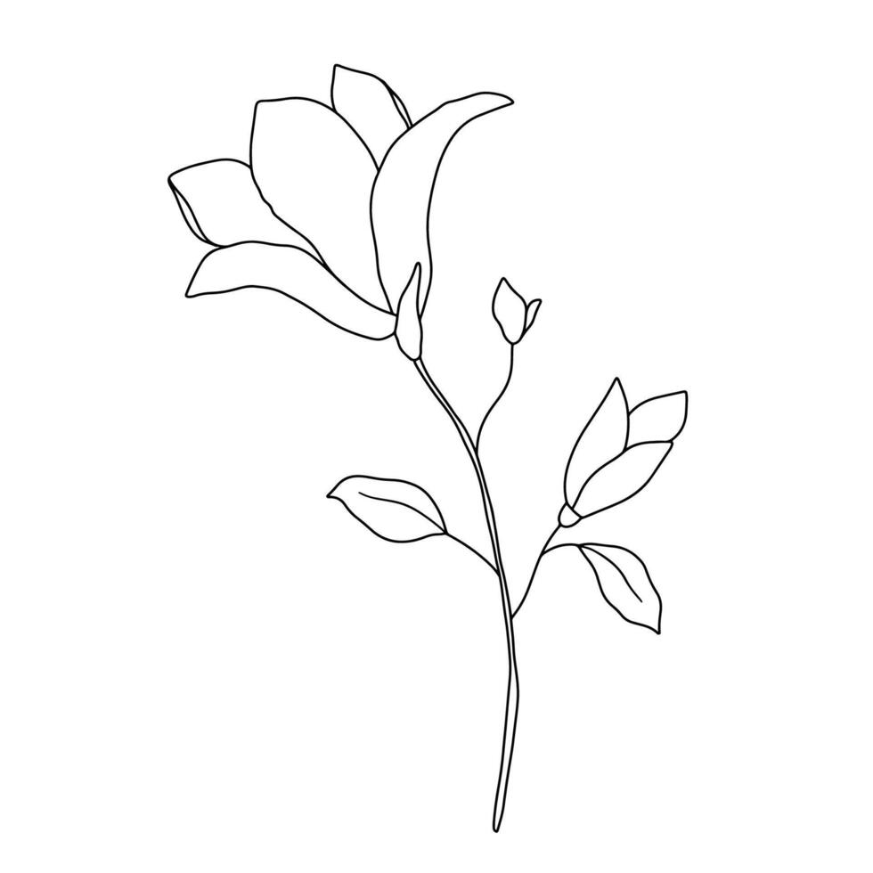 magnolia linje konst vektor illustration. hand dragen svart bläck skiss isolerat på vit. översikt blommig klotter