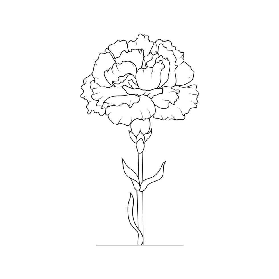 de illustration av nejlika blomma vektor