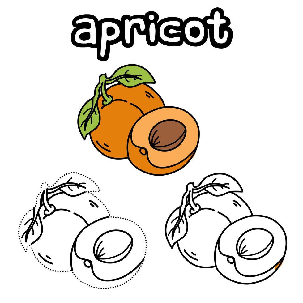 frukt färg sidor med aprikos bakgrund och de aktivitet av ansluter de prickar för dagis barn vektor