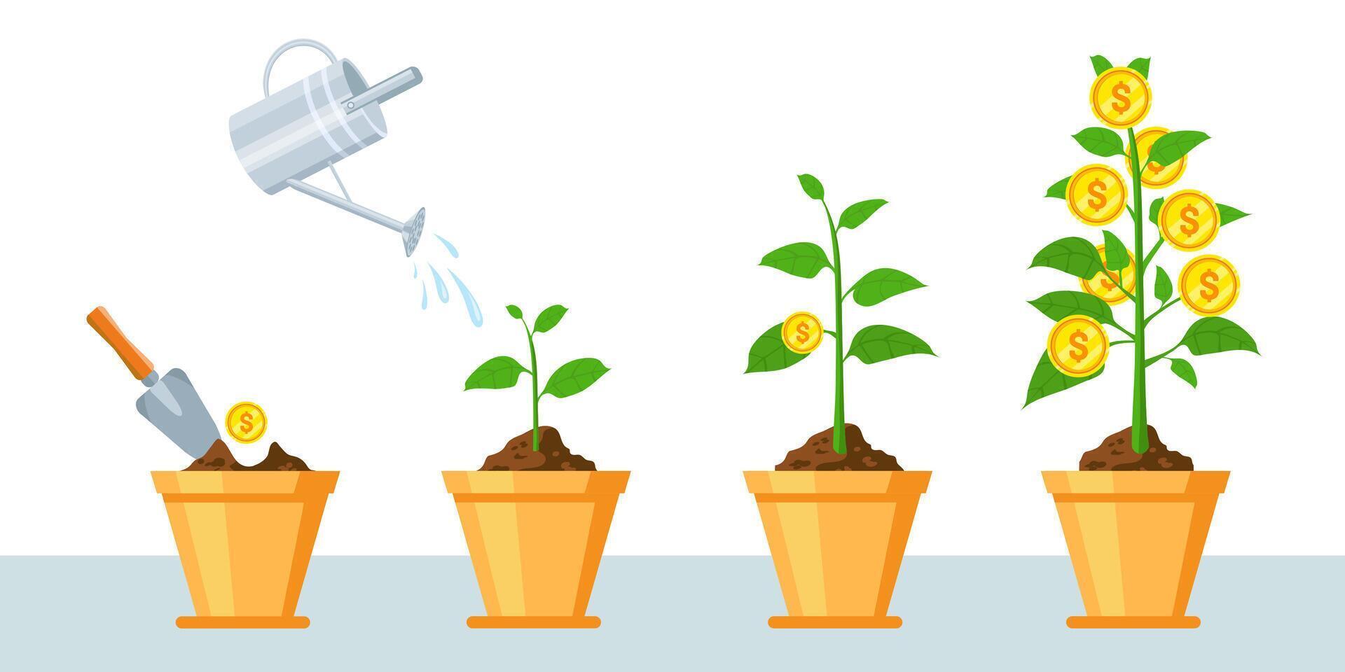 Geld Baum im Topf. Finanzen profitieren Wachstum Infografik mit Stufen von Pflanze wachsen Münzen. Wirtschaft Geschäft Investition oder Einnahmen Vektor Konzept