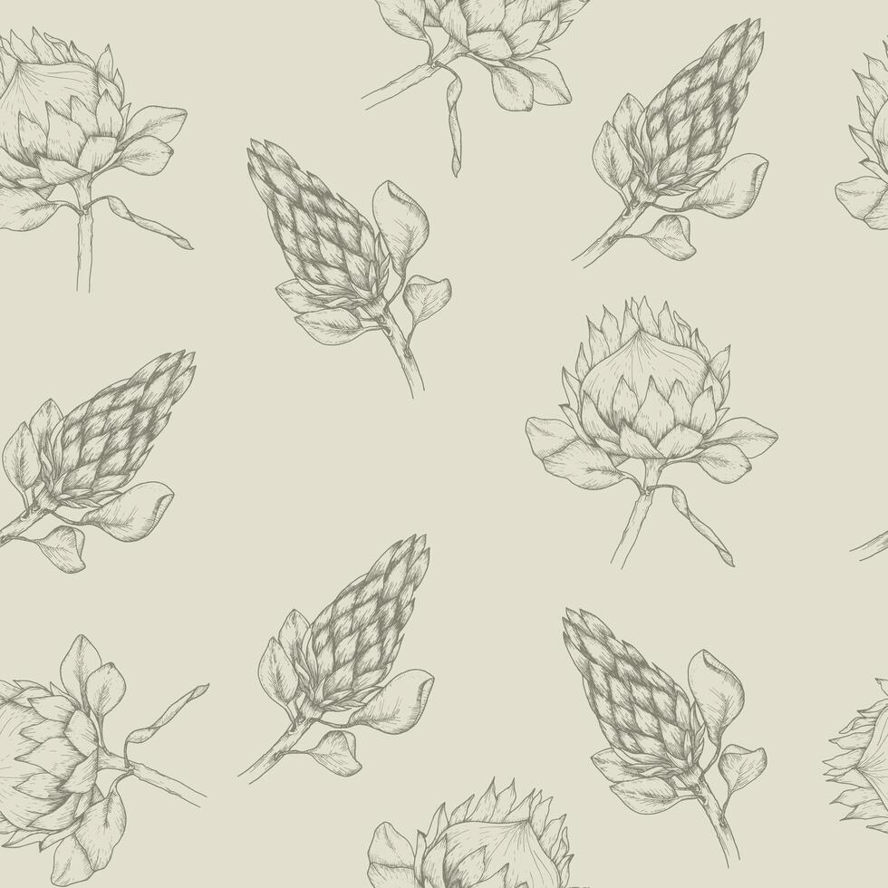 Vektor Blumen- nahtlos Muster mit tropisch Protea Blumen im Boho Stil, erdig Farben. Kunst Linie ,Hand gezeichnet Tinte afrikanisch Rose Hintergrund zum Florist Geschäft, Hochzeit, Einladung Design